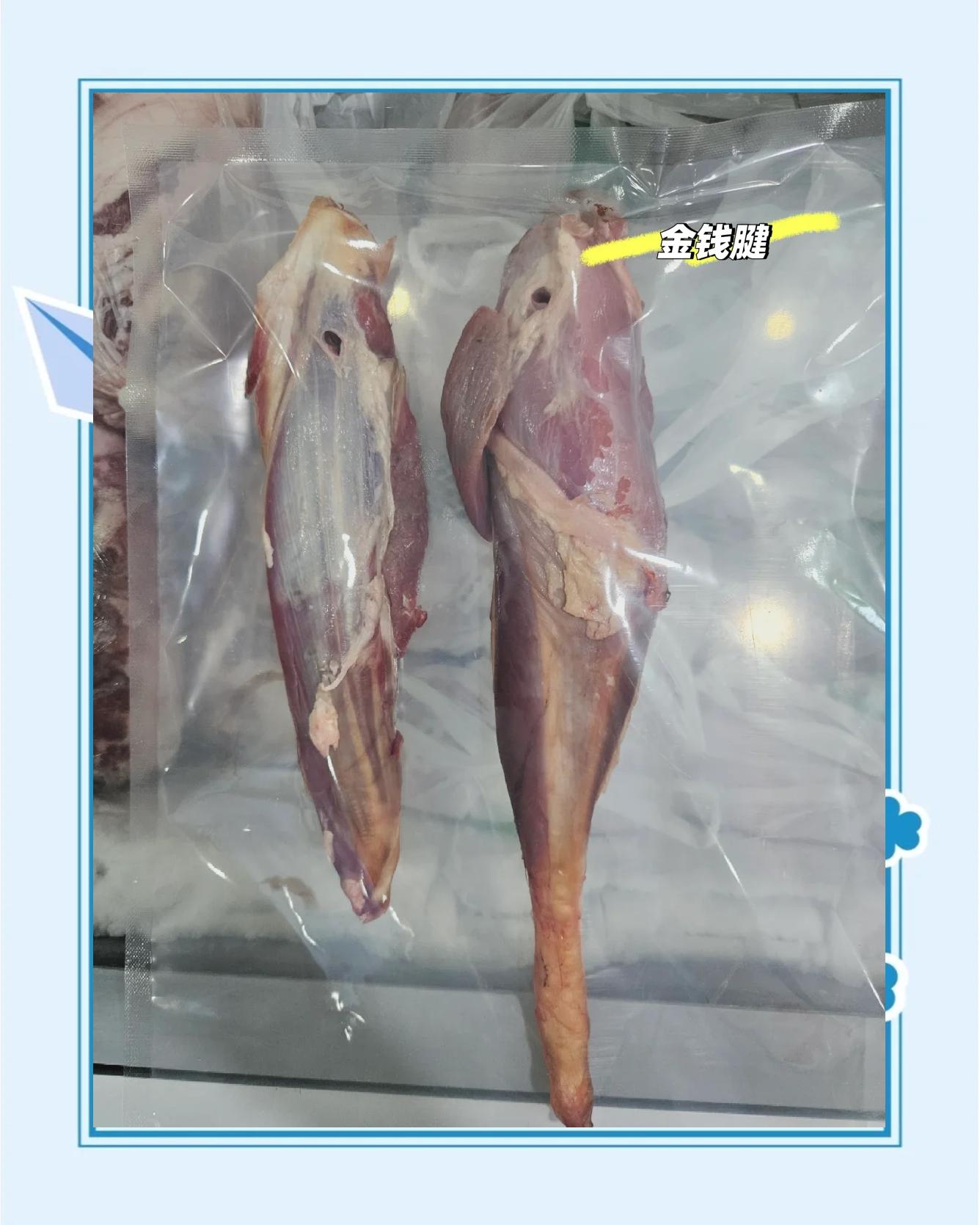 金钱肉什么意思