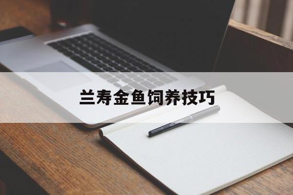 兰寿金鱼饲养技巧